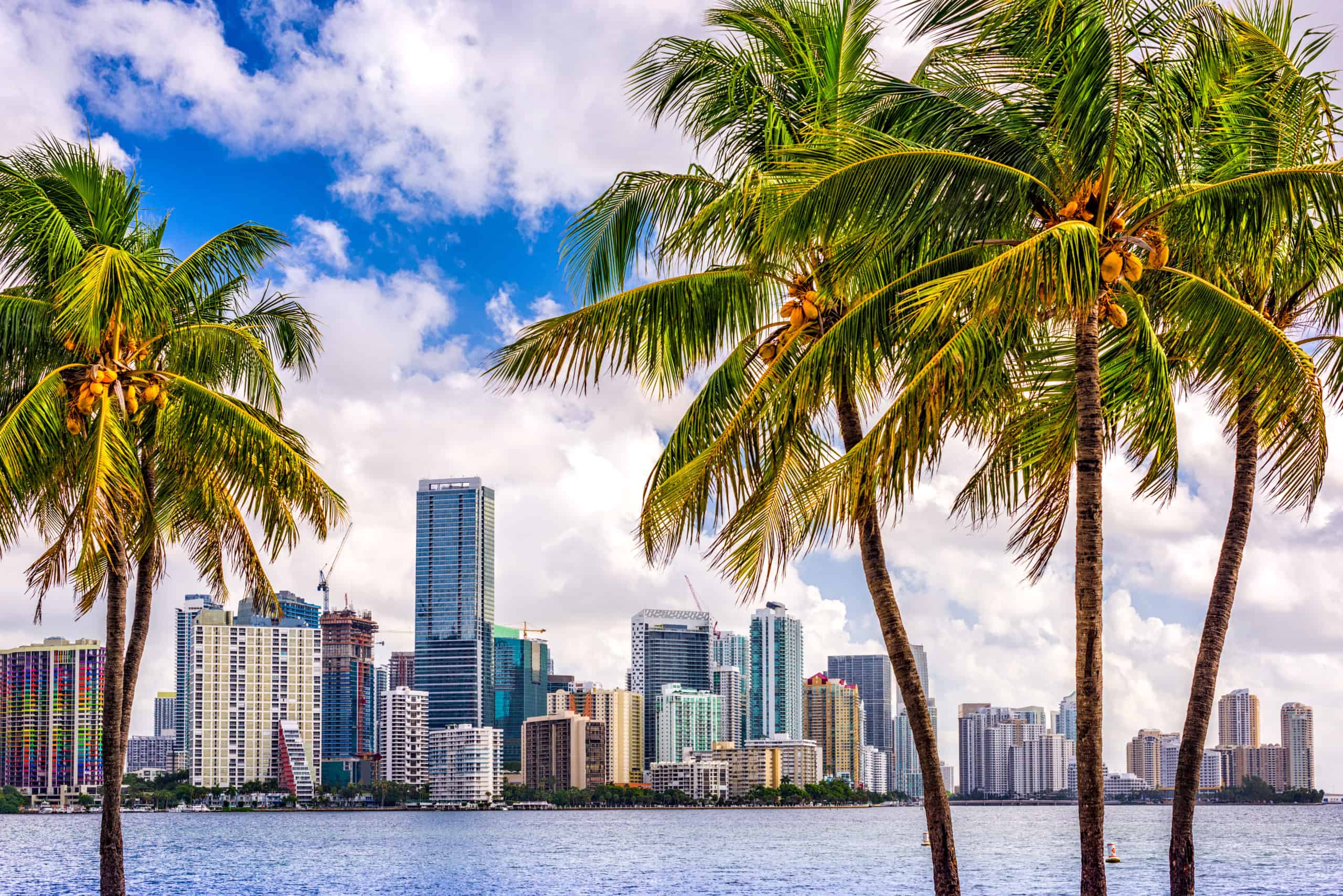 Best study spots in Miami