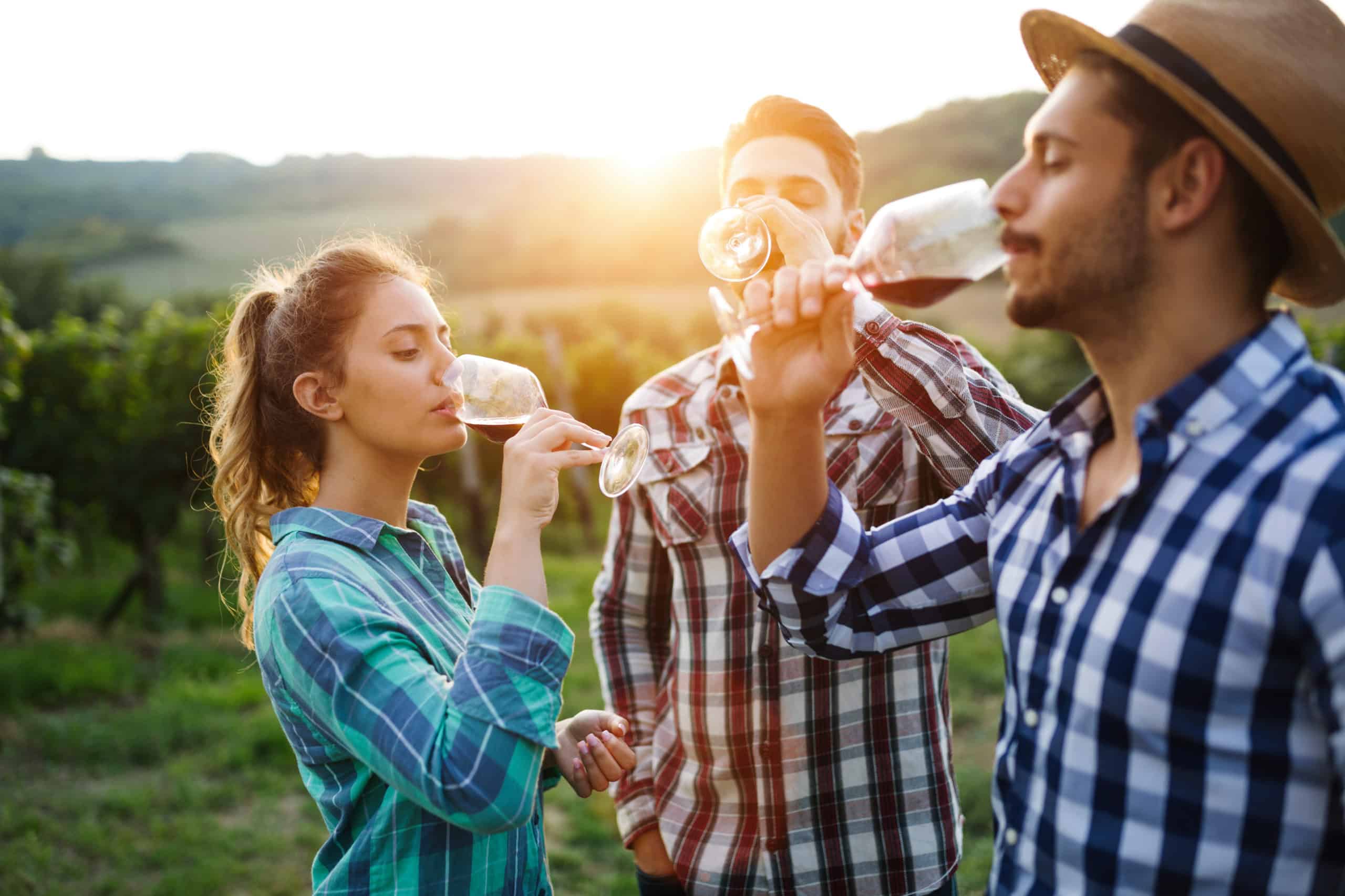 Things you should know about wine tasting