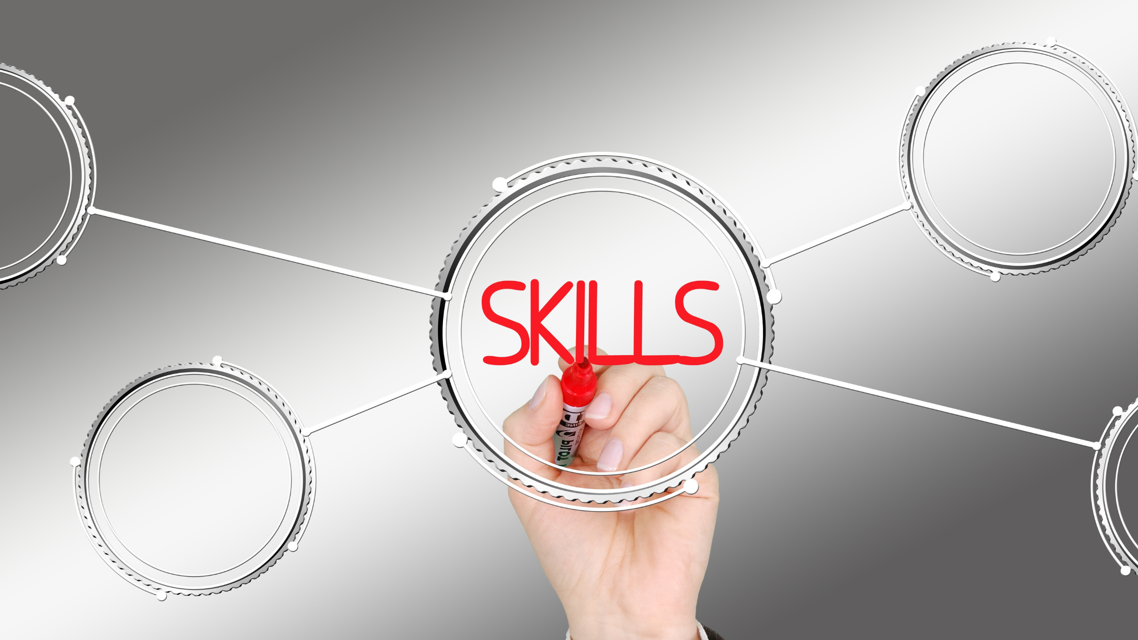 5 Must-Have Skills for a Successful Career in Hospitality