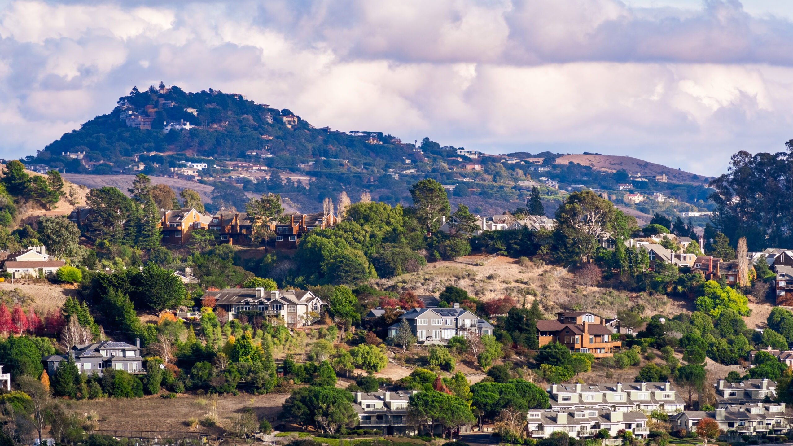Best Places to Eat in Orange County
