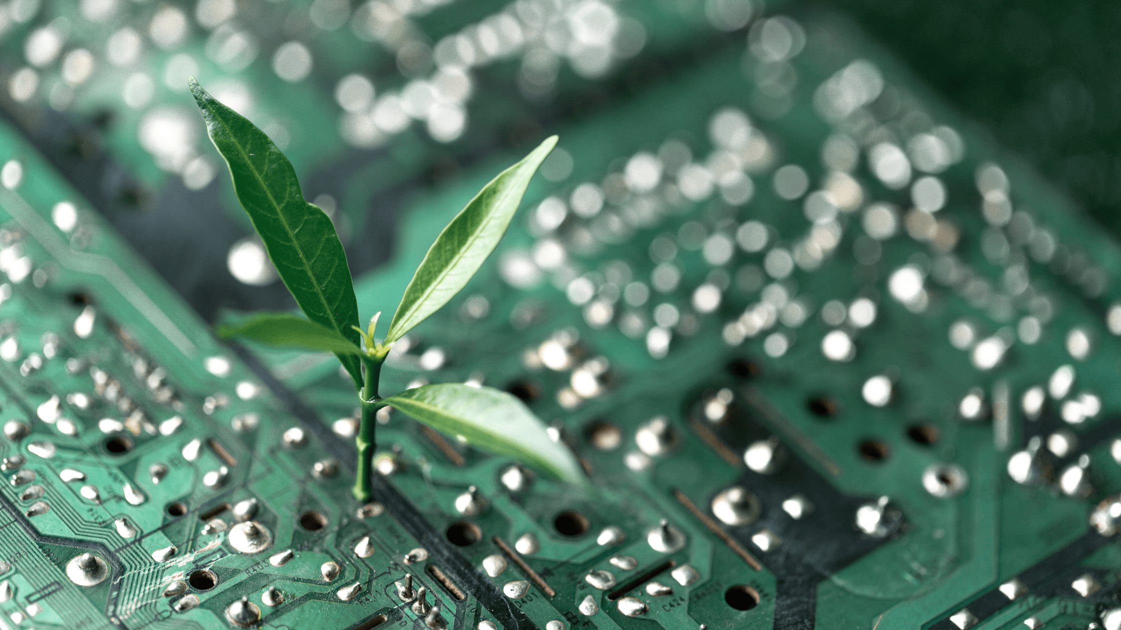 What is Corporate Social Responsibility in Hospitality