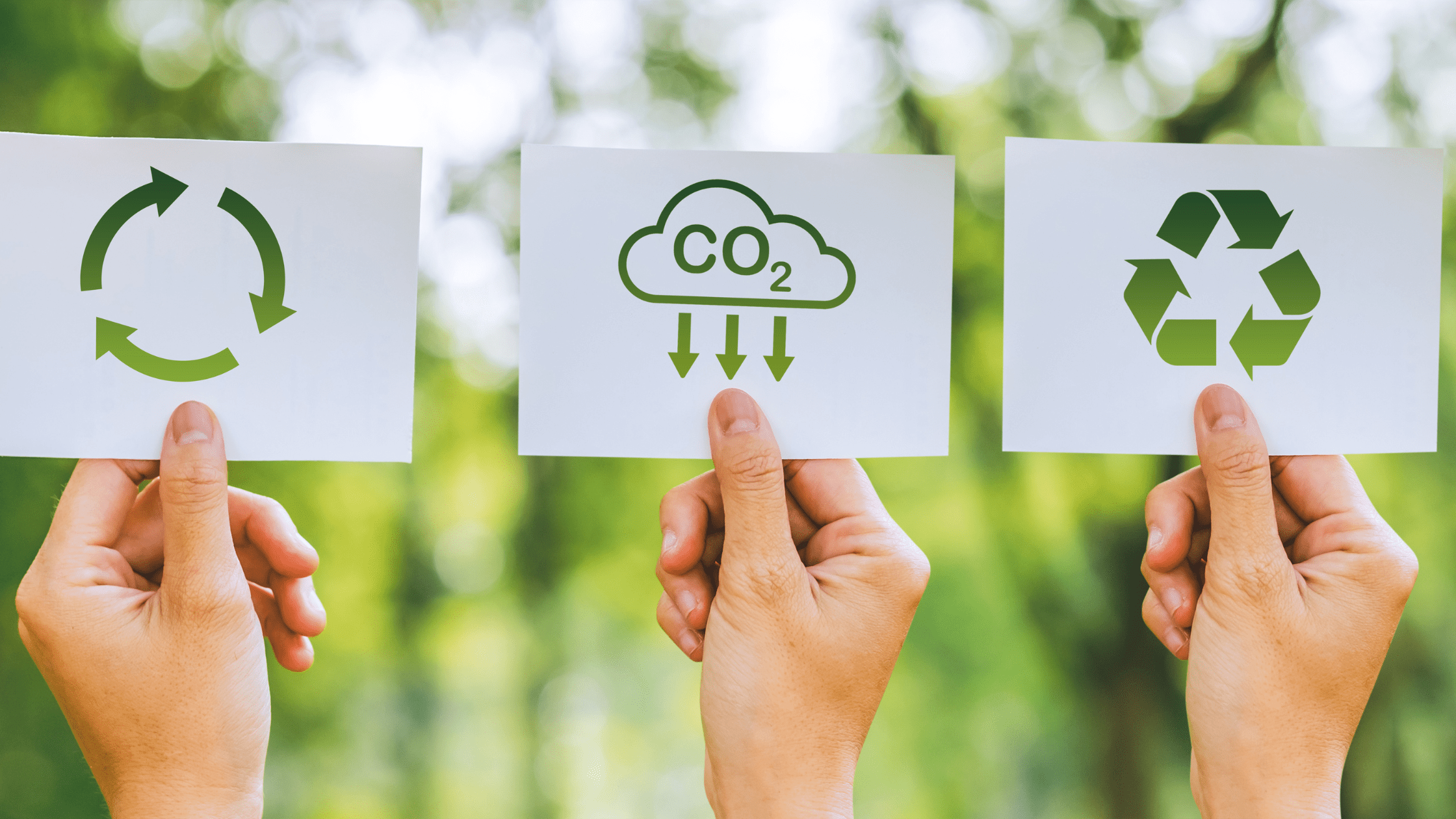 Sustainable Practices in the Hospitality Industry