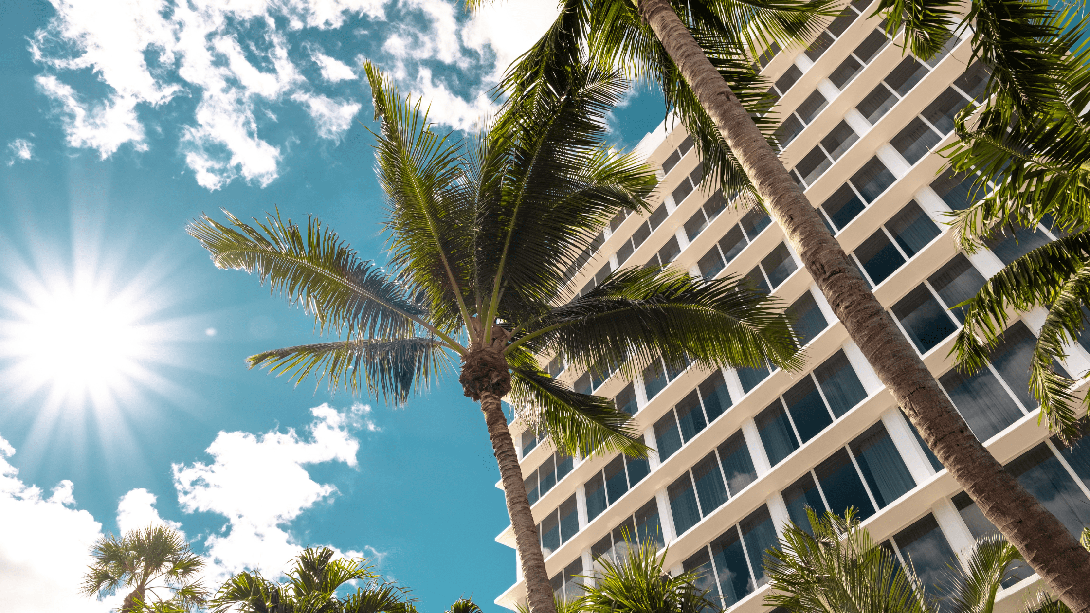 Best Miami Eats for Hospitality Students