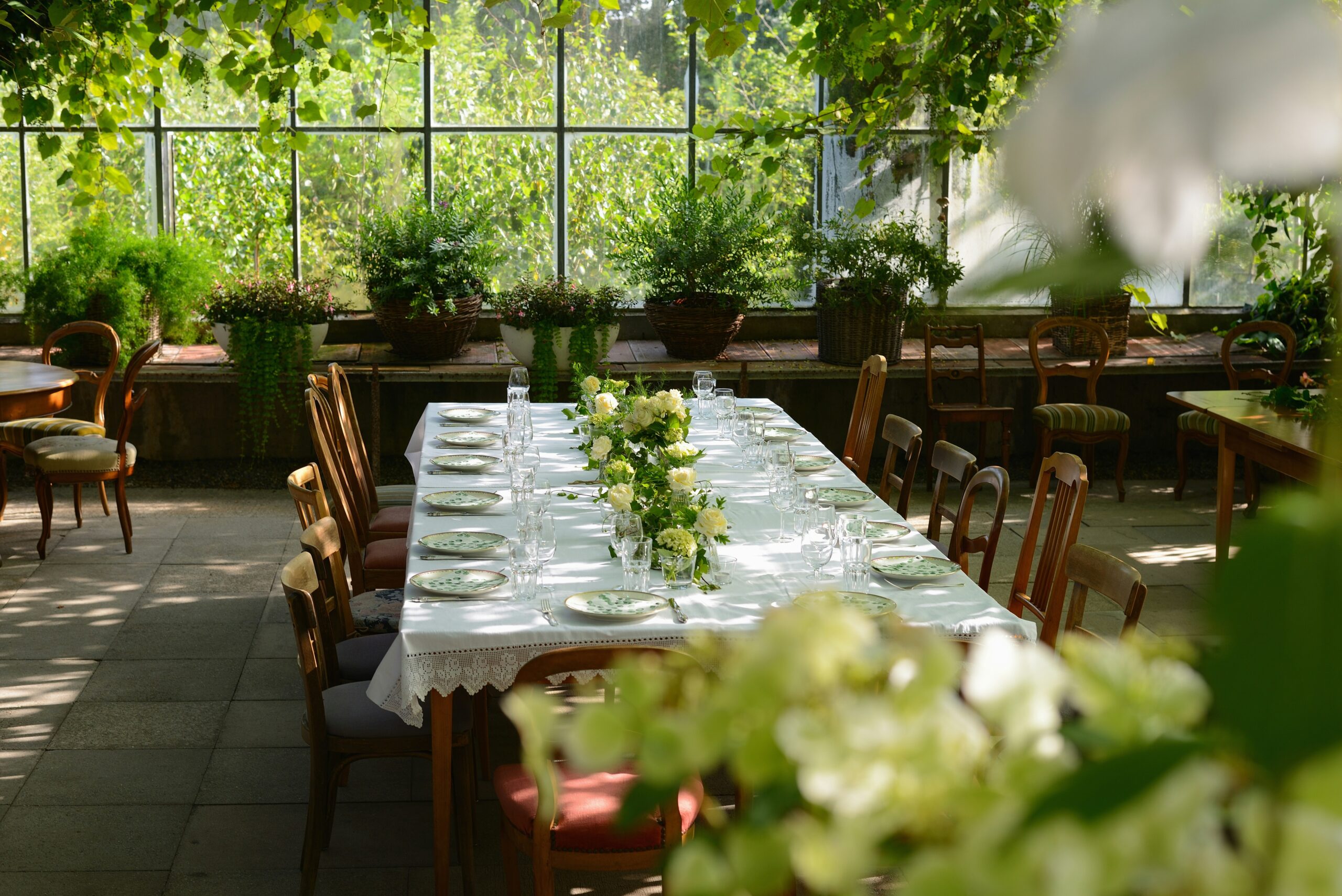 greenwashing-in-hospitality-how-to-spot-it-and-why-its-hurting-the-industry