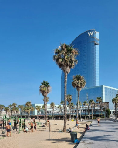 Mediterranean Life in Barcelona