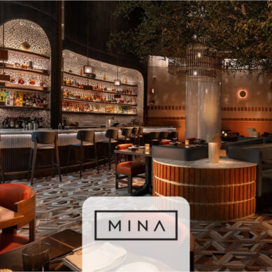 Mina Group