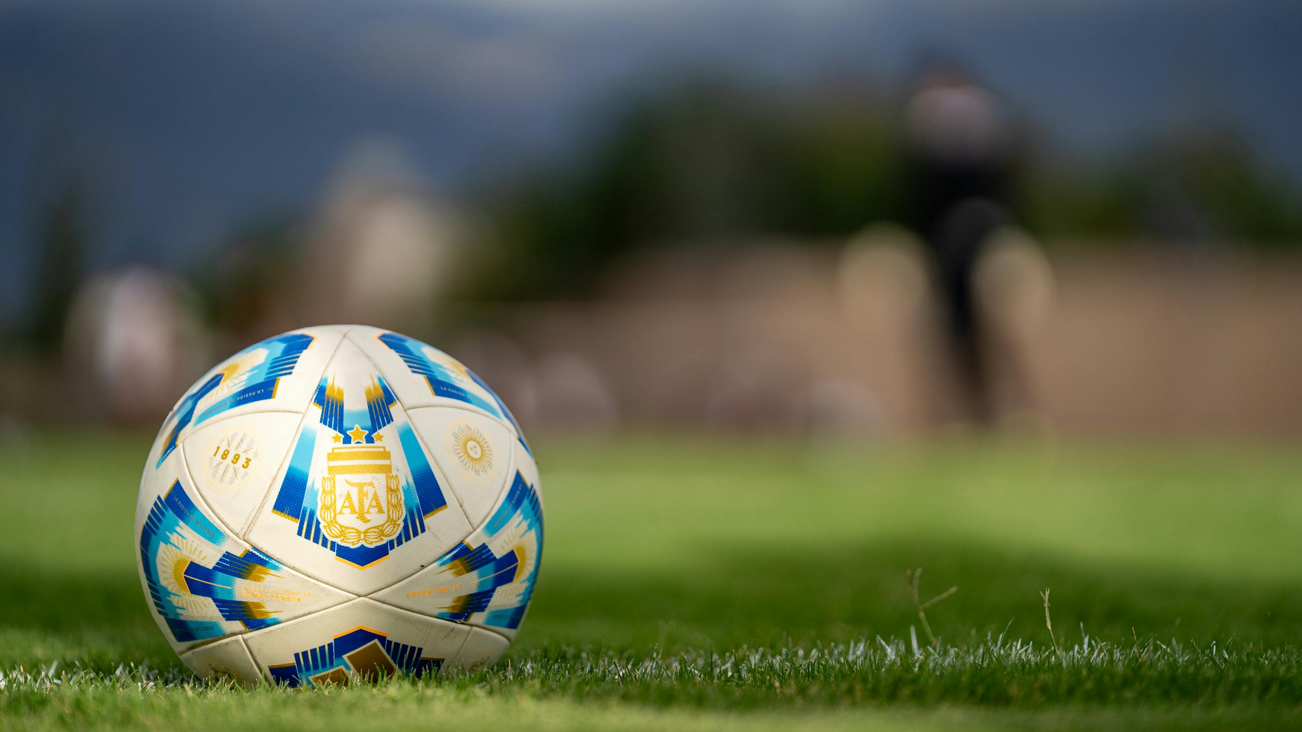 Close-up of an official Argentine FIFA soccer ball resting on a green field with a blurred background.